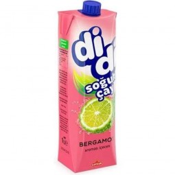 DIDI IJsthee Bergamot 1l